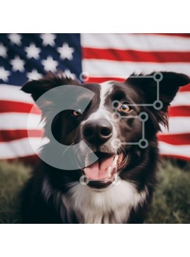 Intra Συλλεκτικό Ξύλινο Παζλ Plywood  4mm - Ευτυχισμένος ασπρόμαυρος σκύλος που κάθεται μπροστά από την αμερικανική σημαία Σε Ξύλινο Κουτί - Διαστάσεις: 10x10 cm – 25 κομμάτια