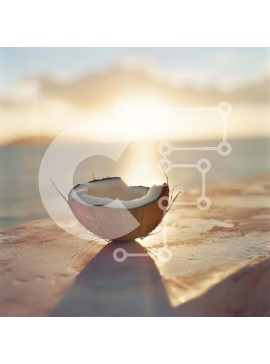 Intra Συλλεκτικό Ξύλινο Παζλ Plywood  4mm - Ημι-κέλυφος καρύδας δίπλα στον ωκεανό στο ηλιοβασίλεμα Σε Ξύλινο Κουτί - Διαστάσεις: 10x10 cm – 25 κομμάτια