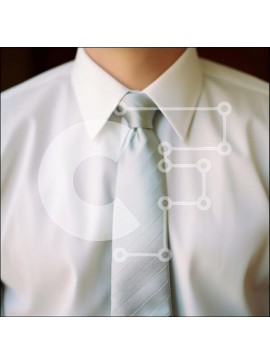 Intra Συλλεκτικό Ξύλινο Παζλ Plywood  4mm - Κοντινό πλάνο ανδρικού λαιμού με λευκό πουκάμισο και γαλάζια γραβάτα Σε Ξύλινο Κουτί - Διαστάσεις Puzzle: 10x10 cm – 25 κομμάτια