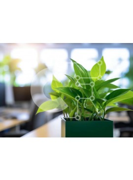 Intra Συλλεκτικό Ξύλινο Παζλ Plywood  4mm - Πράσινο φυτό σε τετράγωνο δοχείο στο γραφείο Σε Ξύλινο Κουτί - Διαστάσεις Puzzle: 10x10 cm – 25 κομμάτια