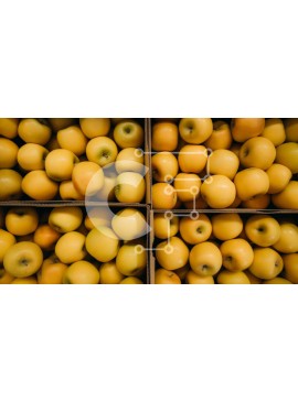 Σετ των 2 Intra Συλλεκτικό Ξύλινο Παζλ Plywood  4mm - Ανάμεικτα κίτρινα μήλα σε χάρτινα κουτιά Σε Ξύλινο Κουτί - Διαστάσεις: 10x10 cm – 25 κομμάτια