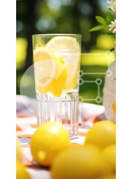 Intra Συλλεκτικό Ξύλινο Παζλ Plywood  4mm - Δροσιστικό ποτήρι νερό με φέτες λεμονιού και φρέσκα φρούτα Σε Ξύλινο Κουτί - Διαστάσεις: 10x10 cm – 25 κομμάτια