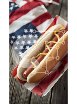 Intra Συλλεκτικό Ξύλινο Παζλ Plywood  4mm - Ψωμάκι για Hot Dog American Flag με μουστάρδα και κέτσαπ Σε Ξύλινο Κουτί - Διαστάσεις: 10x10 cm – 25 κομμάτια