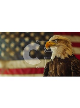 Intra Συλλεκτικό Ξύλινο Παζλ Plywood  4mm - Φαλακρός αετός μπροστά από την αμερικανική σημαία Σε Ξύλινο Κουτί - Διαστάσεις: 10x10 cm – 25 κομμάτια