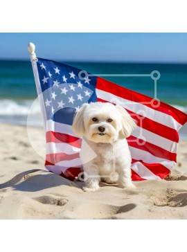 Intra Συλλεκτικό Ξύλινο Παζλ Plywood  4mm - Πατριωτικό σκυλί στην παραλία με την αμερικανική σημαία Σε Ξύλινο Κουτί - Διαστάσεις Puzzle: 10x10 cm – 25 κομμάτια