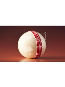Intra Συλλεκτικό Ξύλινο Παζλ Plywood  4mm - Λευκή και κόκκινη μπάλα κρίκετ σε πορτοκαλί φόντο Σε Ξύλινο Κουτί - Διαστάσεις Puzzle: 10x10 cm – 25 κομμάτια