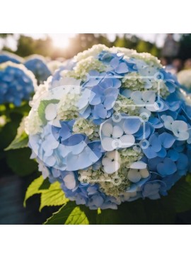 Intra Συλλεκτικό Ξύλινο Παζλ Plywood  4mm - Μπλε και άσπρο μπουκέτο λουλουδιών με τους ανθρώπους στο φόντο Σε Ξύλινο Κουτί - Διαστάσεις: 10x10 cm – 25 κομμάτια