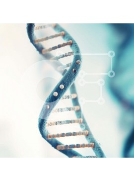 Intra Συλλεκτικό Ξύλινο Παζλ Plywood  4mm - Κοντινό πλάνο Μπλε σκέλος DNA Σε Ξύλινο Κουτί - Διαστάσεις Puzzle: 10x10 cm – 25 κομμάτια