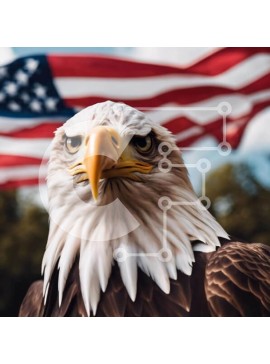 Intra Συλλεκτικό Ξύλινο Παζλ Plywood  4mm - Φαλακρός αετός με αμερικανική σημαία Σε Ξύλινο Κουτί - Διαστάσεις: 10x10 cm – 25 κομμάτια