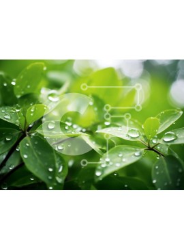 Intra Συλλεκτικό Ξύλινο Παζλ Plywood  4mm - Κοντινό πλάνο πράσινων φύλλων με σταγονίδια νερού Σε Ξύλινο Κουτί - Διαστάσεις: 10x10 cm – 25 κομμάτια