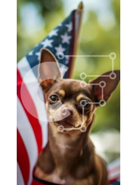 Σετ των 2 Intra Συλλεκτικό Ξύλινο Παζλ Plywood  4mm - Ευτυχισμένος σκύλος με αμερικανική σημαία Σε Ξύλινο Κουτί - Διαστάσεις: 10x10 cm – 25 κομμάτια