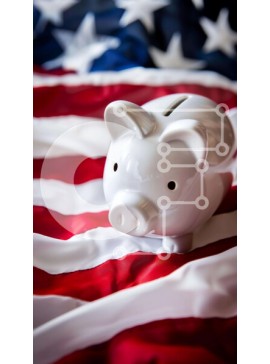 Intra Συλλεκτικό Ξύλινο Παζλ Plywood  4mm - Λευκός κουμπαράς στην αμερικανική σημαία Σε Ξύλινο Κουτί - Διαστάσεις Puzzle: 10x10 cm – 25 κομμάτια