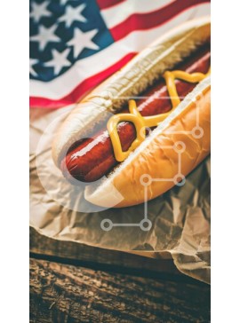 Intra Συλλεκτικό Ξύλινο Παζλ Plywood  4mm - Κουλούρι χοτ ντογκ με μουστάρδα και κέτσαπ, φόντο αμερικανικής σημαίας Σε Ξύλινο Κουτί - Διαστάσεις: 10x10 cm – 25 κομμάτια