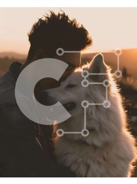 Intra Συλλεκτικό Ξύλινο Παζλ Plywood  4mm - Άνδρας που αγκαλιάζει το λευκό σκυλί στο ηλιοβασίλεμα Σε Ξύλινο Κουτί - Διαστάσεις Puzzle: 10x10 cm – 25 κομμάτια