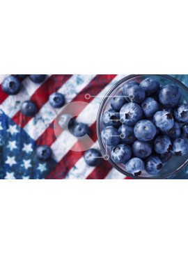 Σετ των 2 Intra Συλλεκτικό Ξύλινο Παζλ Plywood  4mm - Βακκίνια στην αμερικανική σημαία Σε Ξύλινο Κουτί - Διαστάσεις: 10x10 cm – 25 κομμάτια