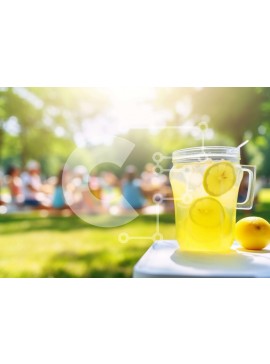 Σετ των 2 Intra Συλλεκτικό Ξύλινο Παζλ Plywood  4mm - Mason Jar Lemonade and People Outdoors Σε Ξύλινο Κουτί - Διαστάσεις: 10x10 cm – 25 κομμάτια