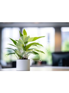 Intra Συλλεκτικό Ξύλινο Παζλ Plywood  4mm - Μικρό φυτό σε γλάστρα σε χώρο γραφείου Σε Ξύλινο Κουτί - Διαστάσεις Puzzle: 10x10 cm – 25 κομμάτια