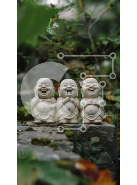 Intra Συλλεκτικό Ξύλινο Παζλ Plywood  4mm - Τρία λευκά αγάλματα του Βούδα στο βράχο με πράσινο Σε Ξύλινο Κουτί - Διαστάσεις Puzzle: 10x10 cm – 25 κομμάτια