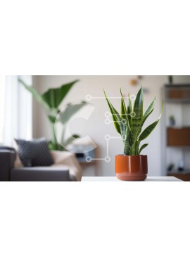 Intra Συλλεκτικό Ξύλινο Παζλ Plywood  4mm - Φυτό φιδιού σε πορτοκαλί βάζο στο τραπεζάκι του σαλονιού Σε Ξύλινο Κουτί - Διαστάσεις Puzzle: 10x10 cm – 25 κομμάτια