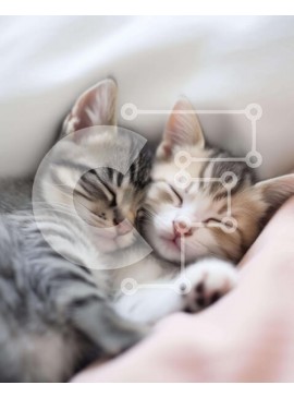 Σετ των 2 Intra Συλλεκτικό Ξύλινο Παζλ Plywood  4mm - Δύο γατάκια που κοιμούνται μαζί σε ένα κρεβάτι Σε Ξύλινο Κουτί - Διαστάσεις: 10x10 cm – 25 κομμάτια