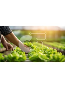 Σετ των 2 Intra Συλλεκτικό Ξύλινο Παζλ Plywood  4mm - Άτομο που μαζεύει μαρούλι από μια εσωτερική φάρμα Σε Ξύλινο Κουτί - Διαστάσεις: 10x10 cm – 25 κομμάτια