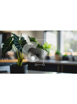 Intra Συλλεκτικό Ξύλινο Παζλ Plywood  4mm - Υγιές φυτό σε γλάστρα στην ανοιχτή κουζίνα Σε Ξύλινο Κουτί - Διαστάσεις Puzzle: 10x10 cm – 25 κομμάτια