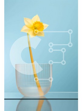 Σετ των 2 Intra Συλλεκτικό Ξύλινο Παζλ Plywood  4mm - Κίτρινο λουλούδι σε διαφανές γυάλινο μπολ σε μπλε φόντο Σε Ξύλινο Κουτί - Διαστάσεις: 10x10 cm – 25 κομμάτια