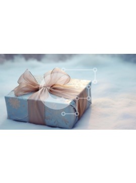 Intra Συλλεκτικό Ξύλινο Παζλ Plywood  4mm - Μπλε κουτί δώρου στο χιονισμένο έδαφος Σε Ξύλινο Κουτί - Διαστάσεις Puzzle: 10x10 cm – 25 κομμάτια