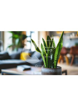 Intra Συλλεκτικό Ξύλινο Παζλ Plywood  4mm - Φυτό σε γλάστρα σε τραπεζάκι σαλονιού στο σαλόνι Σε Ξύλινο Κουτί - Διαστάσεις Puzzle: 10x10 cm – 25 κομμάτια