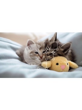 Σετ των 2 Intra Συλλεκτικό Ξύλινο Παζλ Plywood  4mm - Δύο γατάκια στριμώχνονται μαζί σε ένα κρεβάτι με ένα κίτρινο λούτρινο ζώο Σε Ξύλινο Κουτί - Διαστάσεις: 10x10 cm – 25 κομμάτια