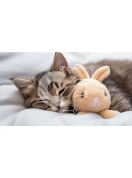 Σετ των 2 Intra Συλλεκτικό Ξύλινο Παζλ Plywood  4mm - Γατάκι ύπνου με γεμιστό παιχνίδι λαγουδάκι Σε Ξύλινο Κουτί - Διαστάσεις: 10x10 cm – 25 κομμάτια