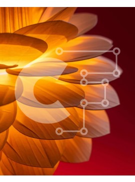 Intra Συλλεκτικό Ξύλινο Παζλ Plywood  4mm - Κοντινό πλάνο του πορτοκαλί λουλουδιού σε κόκκινο φόντο Σε Ξύλινο Κουτί - Διαστάσεις: 10x10 cm – 25 κομμάτια