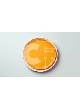 Σετ των 2 Intra Συλλεκτικό Ξύλινο Παζλ Plywood  4mm - Λευκό πιάτο με γέμιση οβάλ πορτοκαλόπιτας Σε Ξύλινο Κουτί - Διαστάσεις: 10x10 cm – 25 κομμάτια