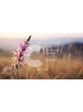 Intra Συλλεκτικό Ξύλινο Παζλ Plywood  4mm - Μονό ροζ λουλούδι σε ψηλά χόρτα Σε Ξύλινο Κουτί - Διαστάσεις: 10x10 cm – 25 κομμάτια