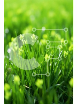 Σετ των 2 Intra Συλλεκτικό Ξύλινο Παζλ Plywood  4mm - Κοντινό πλάνο του πράσινου πεδίου με χόρτα Σε Ξύλινο Κουτί - Διαστάσεις: 10x10 cm – 25 κομμάτια