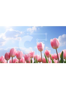 Intra Συλλεκτικό Ξύλινο Παζλ Plywood  4mm - Πεδίο με ροζ τουλίπες με μπλε ουρανό και σύννεφα Σε Ξύλινο Κουτί - Διαστάσεις: 10x10 cm – 25 κομμάτια