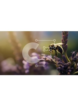 Intra Συλλεκτικό Ξύλινο Παζλ Plywood  4mm - Μέλισσα στα λουλούδια λεβάντας Σε Ξύλινο Κουτί - Διαστάσεις: 10x10 cm – 25 κομμάτια