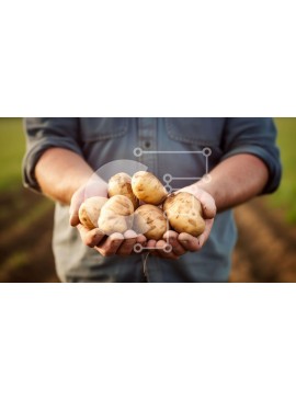 Intra Συλλεκτικό Ξύλινο Παζλ Plywood  4mm - Άνθρωπος που συγκομίζει πατάτες από το χωράφι Σε Ξύλινο Κουτί - Διαστάσεις Puzzle: 10x10 cm – 25 κομμάτια