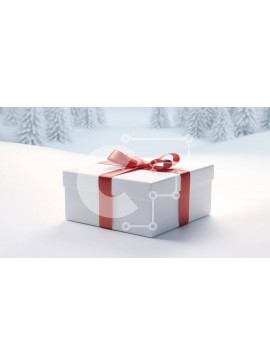 Intra Συλλεκτικό Ξύλινο Παζλ Plywood  4mm - Λευκό κουτί δώρου με κόκκινη κορδέλα σε χιονισμένα δέντρα Σε Ξύλινο Κουτί - Διαστάσεις Puzzle: 10x10 cm – 25 κομμάτια