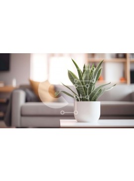 Intra Συλλεκτικό Ξύλινο Παζλ Plywood  4mm - Λευκό φυτό σε γλάστρα στο τέλος του τραπεζιού στο σαλόνι Σε Ξύλινο Κουτί - Διαστάσεις Puzzle: 10x10 cm – 25 κομμάτια