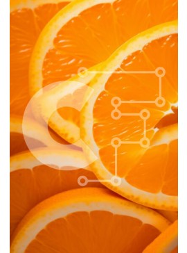 Σετ των 2 Intra Συλλεκτικό Ξύλινο Παζλ Plywood  4mm - Κοντινό πλάνο φέτες πορτοκαλιού σε διαφορετικά σχήματα και μεγέθη Σε Ξύλινο Κουτί - Διαστάσεις: 10x10 cm – 25 κομμάτια