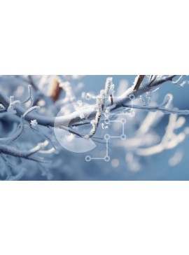 Intra Συλλεκτικό Ξύλινο Παζλ Plywood  4mm - Χιονισμένο κλαδί δέντρου το χειμώνα Σε Ξύλινο Κουτί - Διαστάσεις: 10x10 cm – 25 κομμάτια