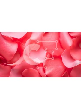 Intra Συλλεκτικό Ξύλινο Παζλ Plywood  4mm - Κοντινό πλάνο με ροζ πέταλα για καλλιτεχνικά υπόβαθρα και διακοσμήσεις Σε Ξύλινο Κουτί - Διαστάσεις: 10x10 cm – 25 κομμάτια