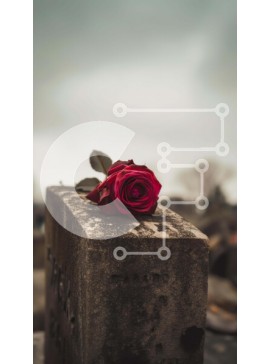 Σετ των 2 Intra Συλλεκτικό Ξύλινο Παζλ Plywood  4mm - Κόκκινο τριαντάφυλλο στην παλιά ταφόπλακα Σε Ξύλινο Κουτί - Διαστάσεις: 10x10 cm – 25 κομμάτια