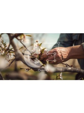 Intra Συλλεκτικό Ξύλινο Παζλ Plywood  4mm - Άτομο που εργάζεται στο κλαδί αμυγδαλιάς Σε Ξύλινο Κουτί - Διαστάσεις: 10x10 cm – 25 κομμάτια