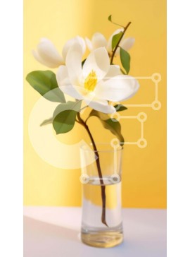 Intra Συλλεκτικό Ξύλινο Παζλ Plywood  4mm - Λευκά λουλούδια Magnolia σε γυάλινο βάζο Σε Ξύλινο Κουτί - Διαστάσεις Puzzle: 10x10 cm – 25 κομμάτια