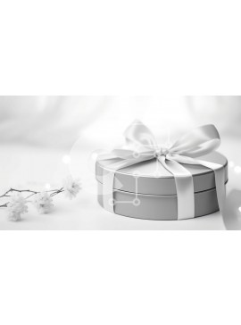 Intra Συλλεκτικό Ξύλινο Παζλ Plywood  4mm - Ασημένιο κουτί δώρου με λευκή κορδέλα και λουλούδια Σε Ξύλινο Κουτί - Διαστάσεις Puzzle: 10x10 cm – 25 κομμάτια