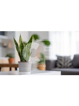 Intra Συλλεκτικό Ξύλινο Παζλ Plywood  4mm - Μικρό φυτό σε γλάστρα στο τέλος του τραπεζιού στο σαλόνι Σε Ξύλινο Κουτί - Διαστάσεις Puzzle: 10x10 cm – 25 κομμάτια