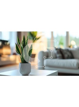 Intra Συλλεκτικό Ξύλινο Παζλ Plywood  4mm - Λευκό φυτό σε γλάστρα στο τέλος του τραπεζιού του σαλονιού Σε Ξύλινο Κουτί - Διαστάσεις Puzzle: 10x10 cm – 25 κομμάτια