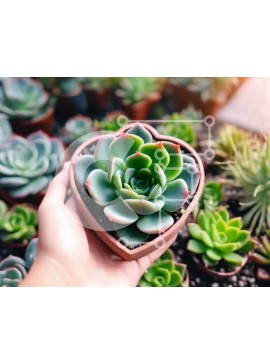 Intra Συλλεκτικό Ξύλινο Παζλ Plywood  4mm - Χειροποίητη σύνθεση χυμώδη αρκουδάκι Σε Ξύλινο Κουτί - Διαστάσεις: 10x10 cm – 25 κομμάτια